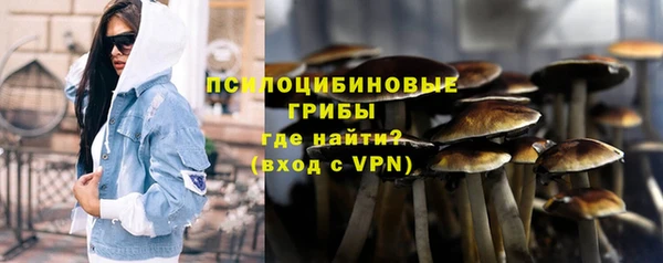 ГАЛЛЮЦИНОГЕННЫЕ ГРИБЫ Покачи