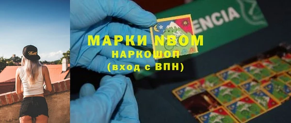 эйфоретик Ельня