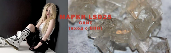 ГАЛЛЮЦИНОГЕННЫЕ ГРИБЫ Покачи