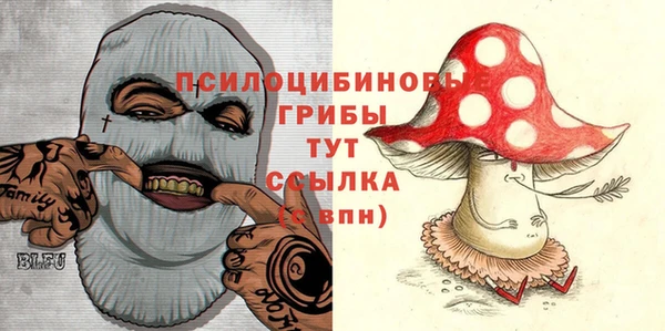 ALPHA PVP Покров