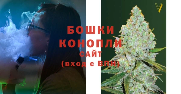 ГАЛЛЮЦИНОГЕННЫЕ ГРИБЫ Покачи